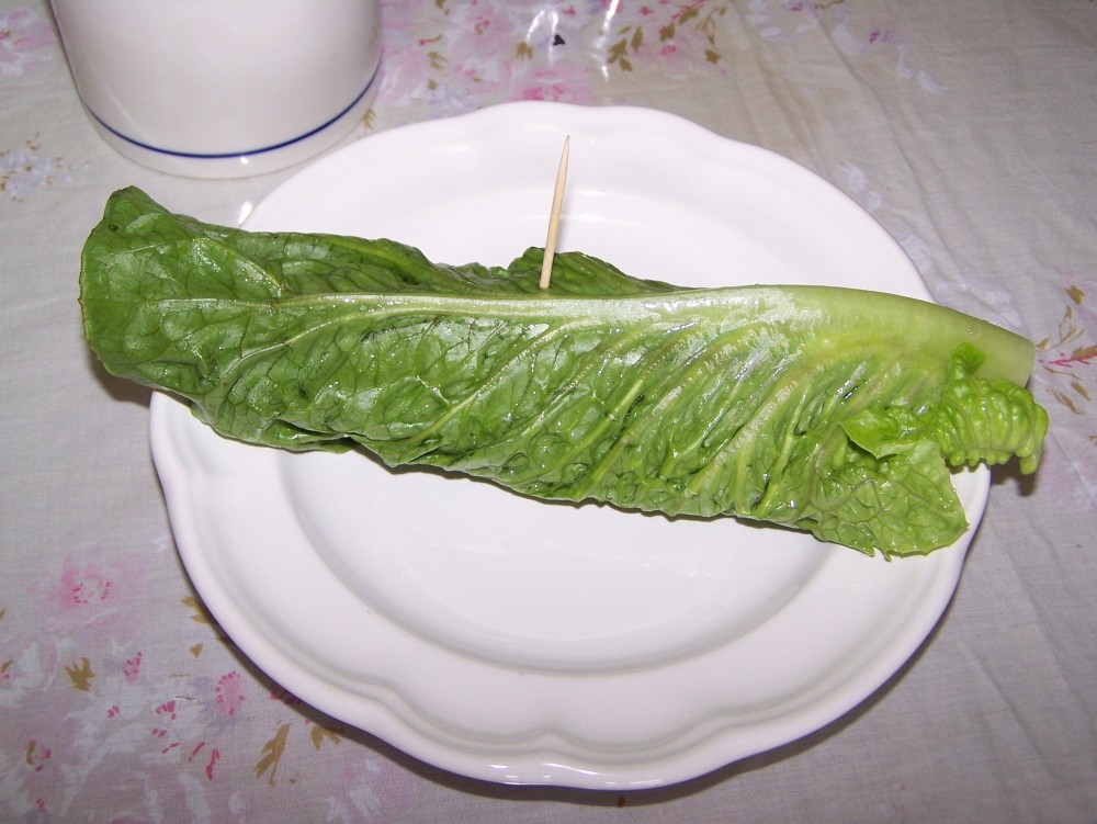 BLT Lettuce Wraps