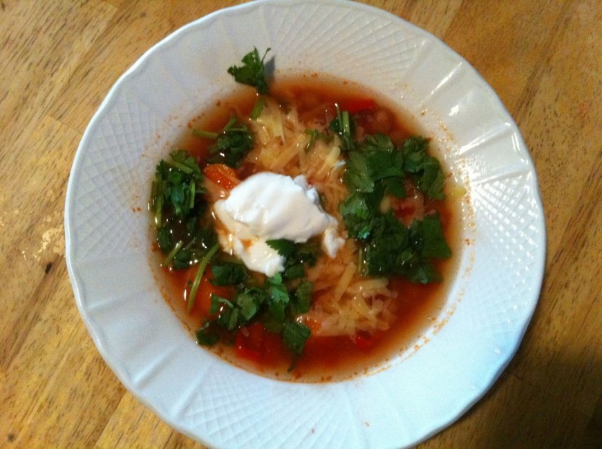 Southwestern Sprouted Pinto Soup