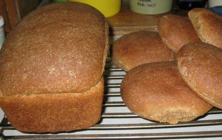 Sprouted Whole Wheat Bread