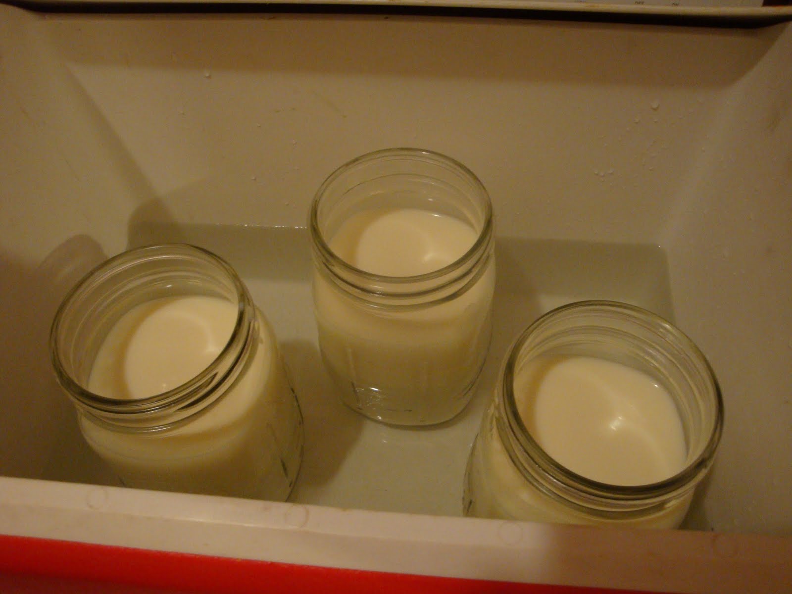 raw milk yogurt cooler