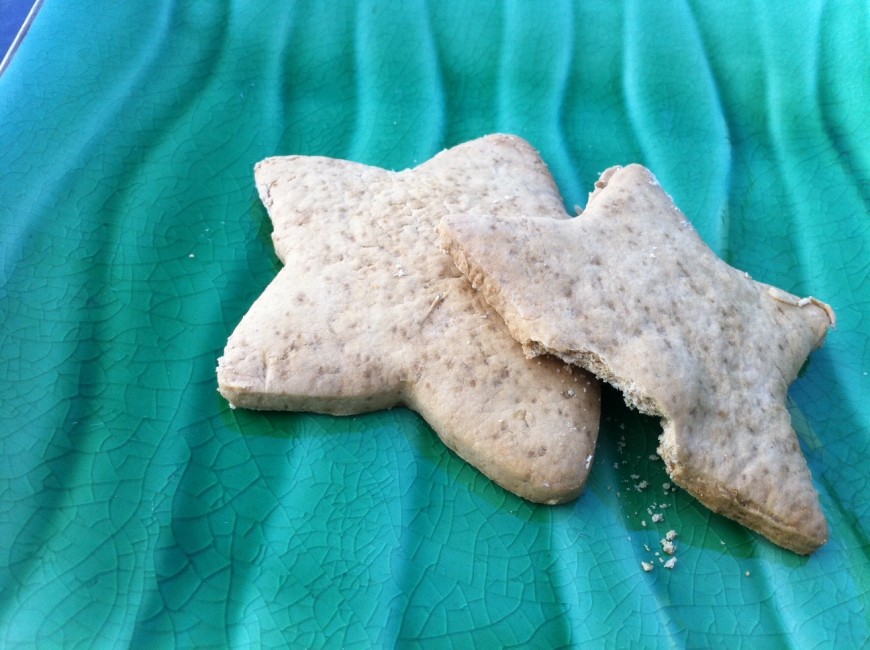 Toasted Arrowroot Cookies
