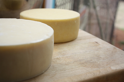 Make the Cheese You’ve Always Wanted! GNOWFGLINS Cultured Dairy eBook Giveaway