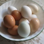 Naturally Dyed Easter Egg Recipe