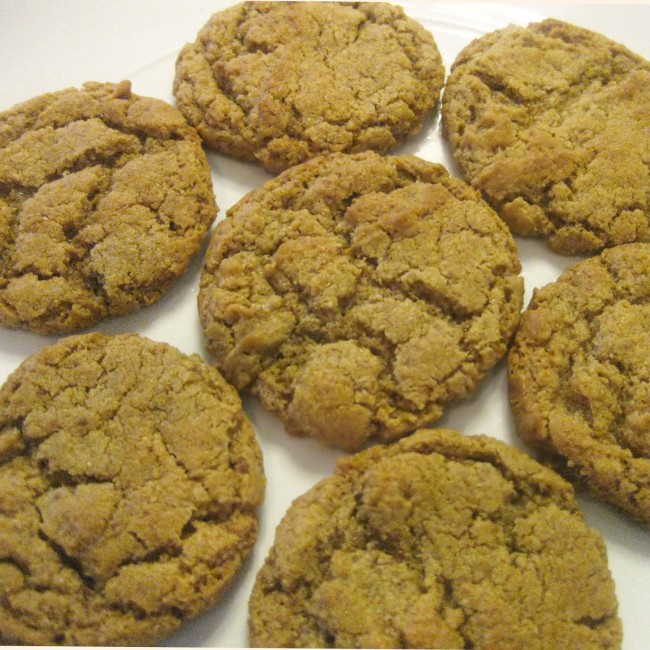 Easy Flourless PB Cookies