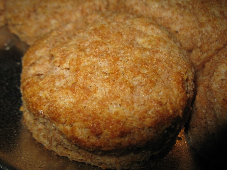 Sprouted Whole Wheat Baking Powder Biscuits Recipe