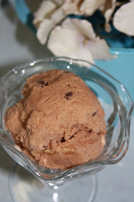 Double Chocolate Peanut Butter Swirl Ice Cream