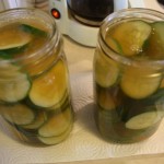 Quick Summer Pickles Recipe