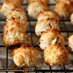 Perfect Coconut Macaroon Cookies – Wahls Paleo Recipe