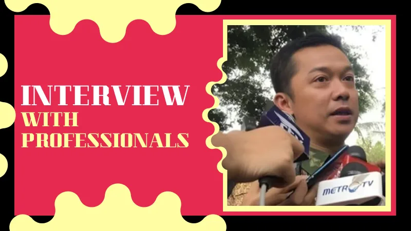 Interview with professionals